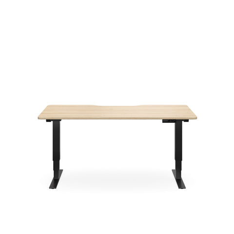 Selectric Sit/Stand Desk
