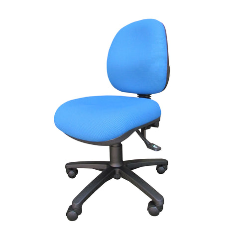 Bug - M/B Typist (no Arm)