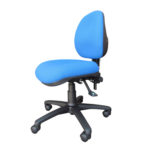 Bug - M/B Typist (no Arm)