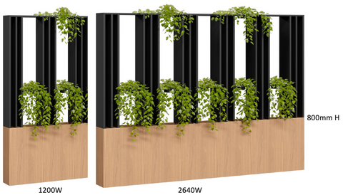 Corridor Vertical Garden