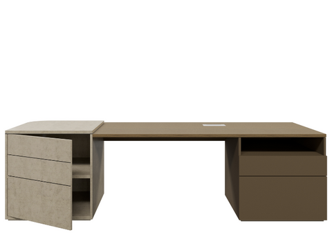 Danni Executive Desk