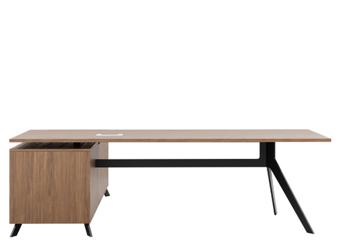 Delta Deluxe Executive with Storage