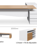 GEO EXECUTIVE DESK - 101 SELECTRIC