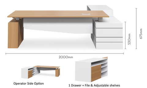 GEO EXECUTIVE DESK - 101 SELECTRIC
