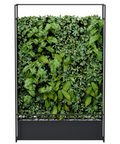 Lush Garden Divider Wall