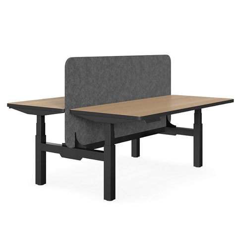 Egalitarian Workstation