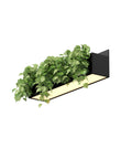 Floating Garden Beds