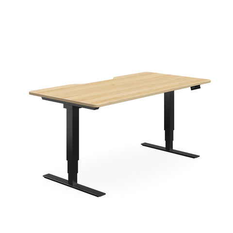 Selectric Sit/Stand Desk