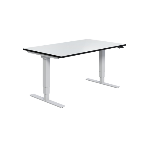 Selectric Sit/Stand Desk