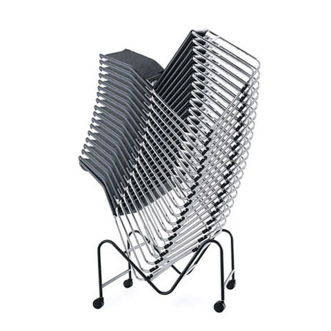 Neo-Catrina - Mesh Back